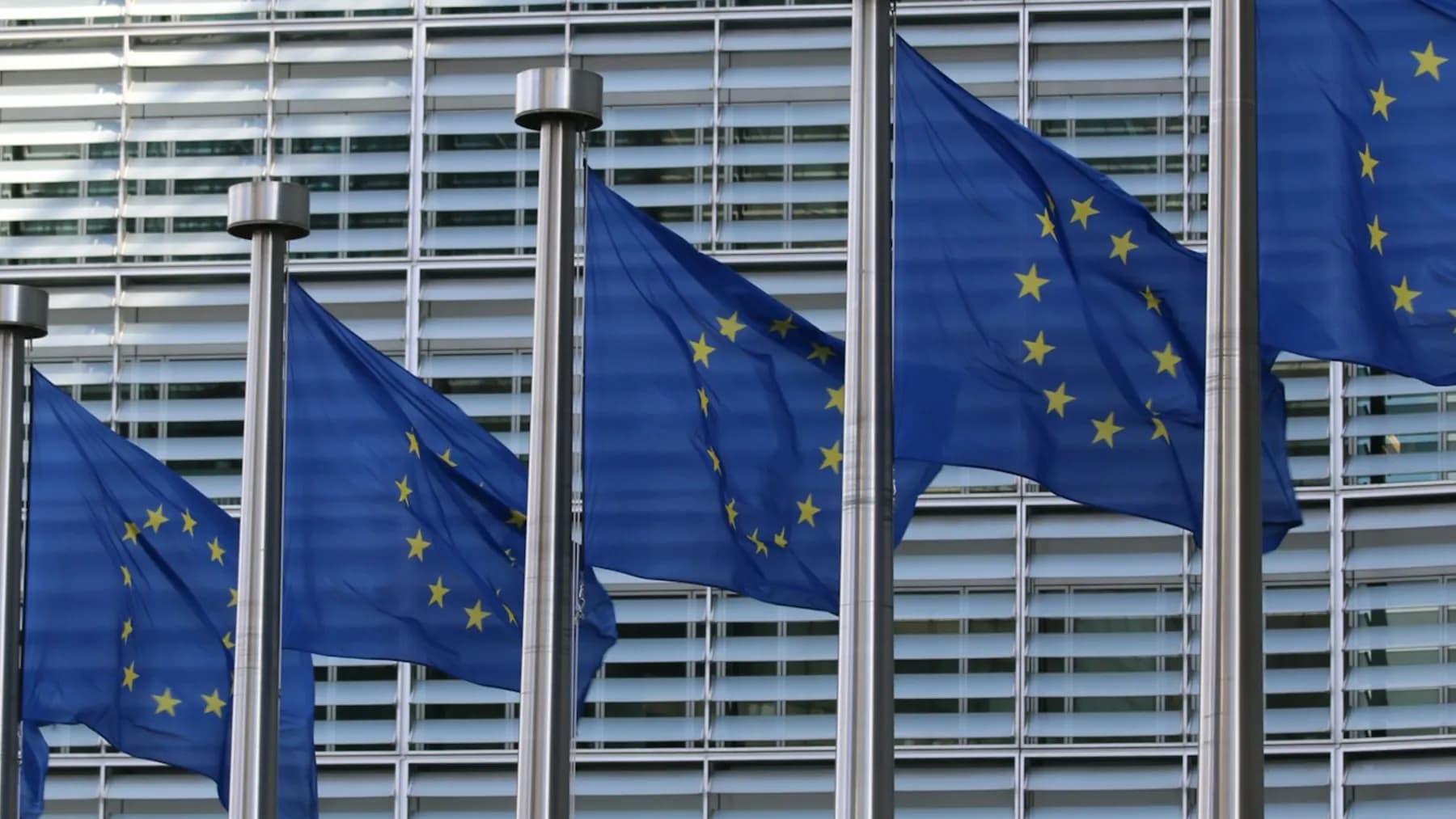 Reihe von Europaflaggen vor einem Verwaltungsgebäude